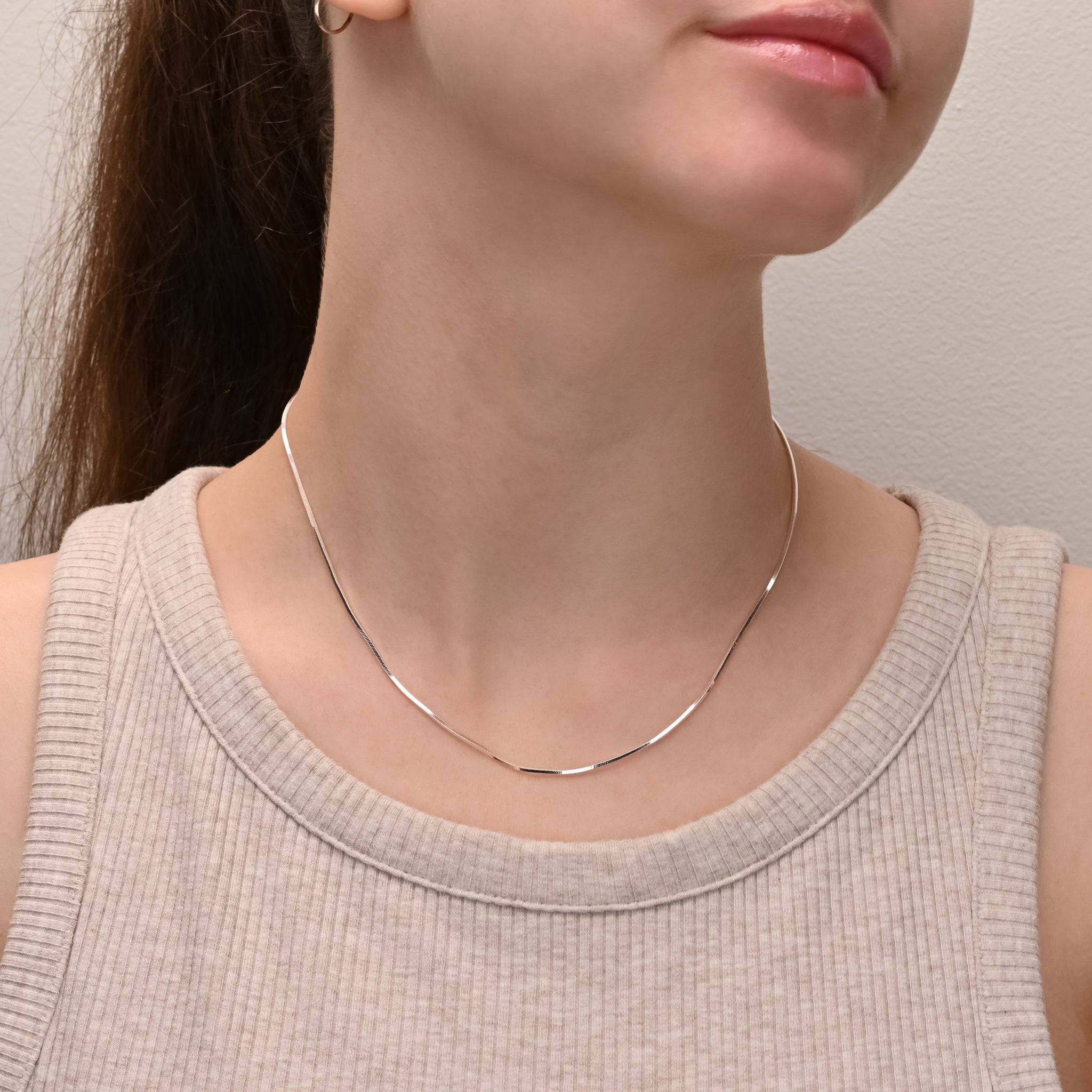 Studio shot of Square Silver Snake Chain