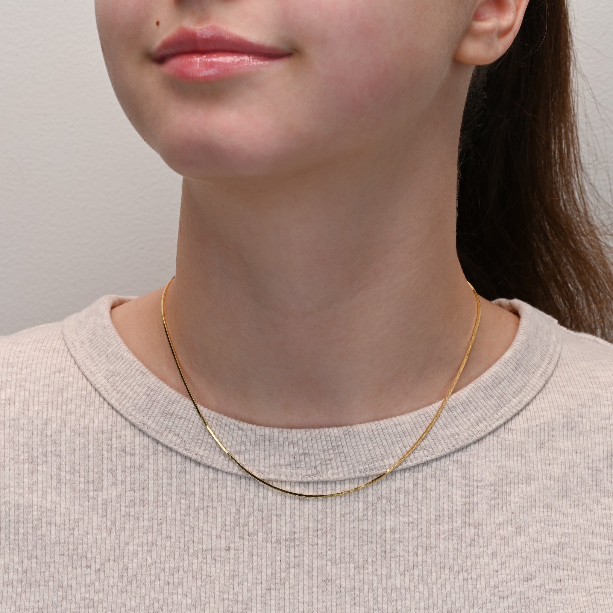 Studio shot of Gold Plated Silver Chain Snake